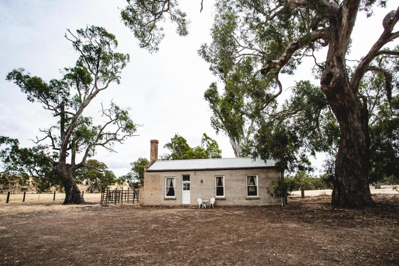 Ravenswood Homestead エクステリア 写真